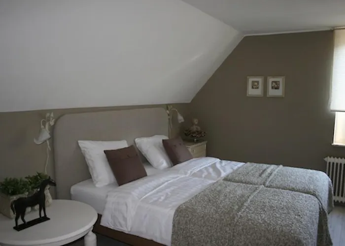 Tolles Fuer 18 Personen In Ostfriesland Mit Kino, Bar, Sauna Und Whirlpool 度假居